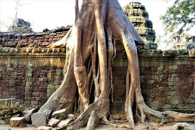 Private Angkor Temples Walking Tour from Siem Reap - Who Should Consider This Tour?