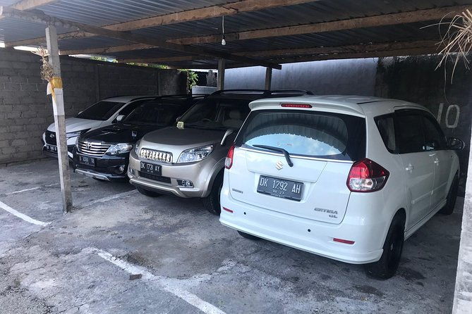 Private Bali Car Charter with Driver up to 6 People - Who Is This Tour Perfect For?