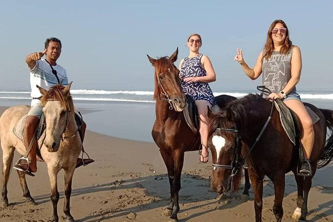 Private Bali Horse Riding In Seminyak Beach - The Sum Up: Who Should Consider This Tour?