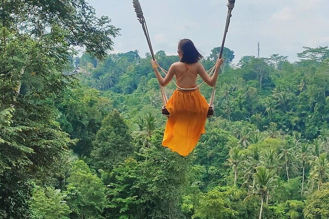 Private Bali Tour with Lisensed Bali Driver - Who Would Love This Tour?