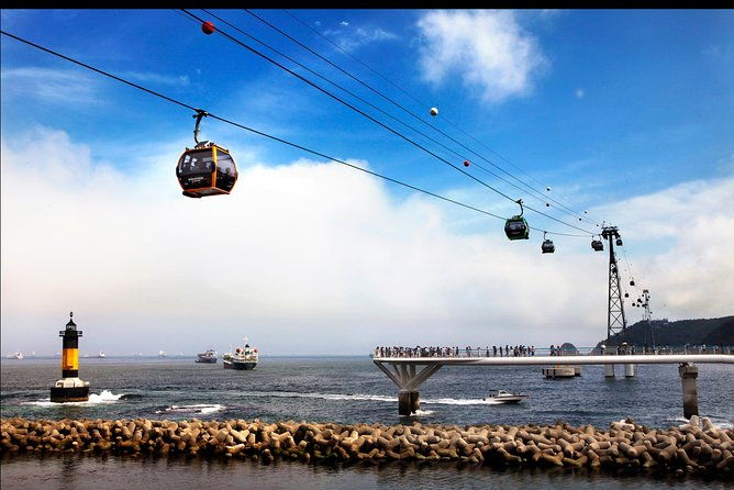 Private Busan Tour with hidden gem of Busan by Local Guide - Who Will Love This Tour?
