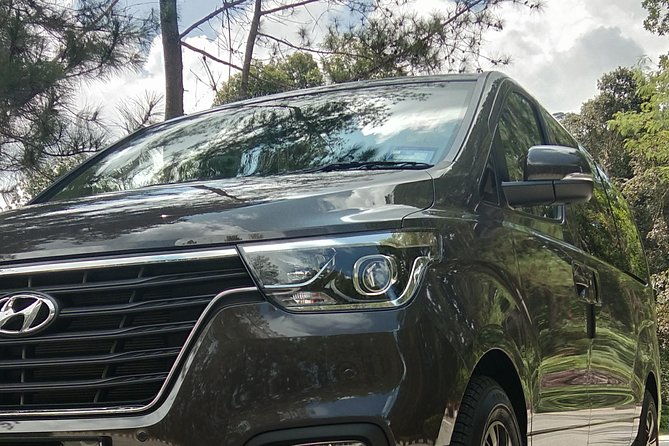 Private Chauffeur For Meetings, Side Visit, Tours, Airport Transfer, Sightseeing - Cost and Value: Is It Worth It?  