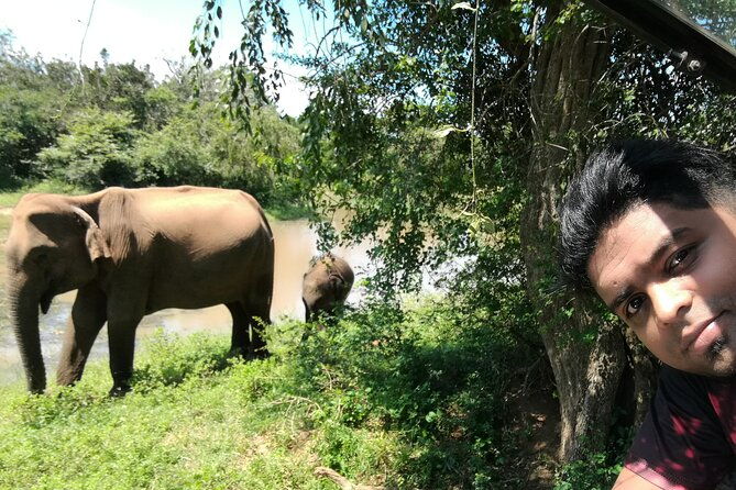 Private Dambulla Sigiriya Tour from Kandy with friendly chauffeur - Final Thoughts