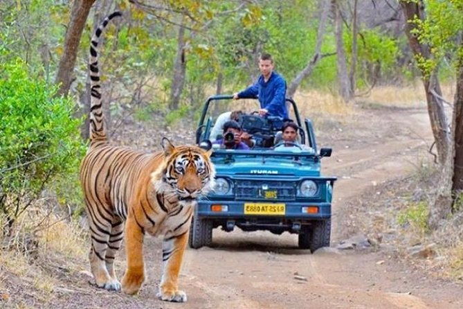 Private Day Tour Of Kumbhalgarh Fort & Wildlife Sanctuary From Udaipur - Frequently Asked Questions