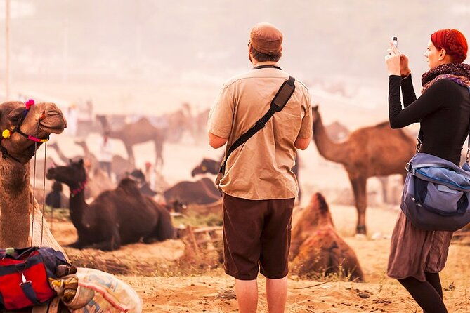 Private Day Trip from Jaipur to Ajmer & Pushkar - The Sum Up