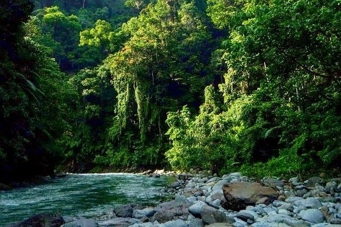 Private Full-Day Bukit Lawang Trekking Tour From Medan - The Return Journey: Scenic Drive or River Ride