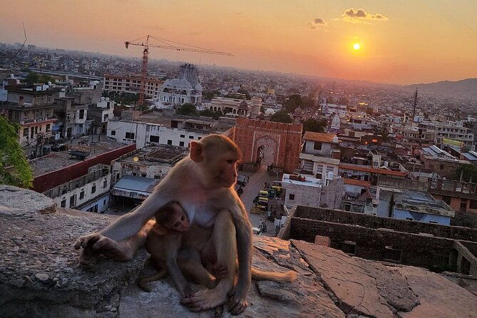Private Full-Day Jaipur City Sightseeing Tour with Sunset View - FAQ