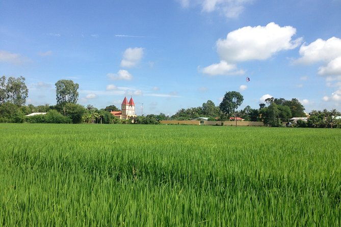 Private Full-day Mekong Tour From Ho Chi Minh City, Including River Cruise - Authentic Experiences and Review Insights