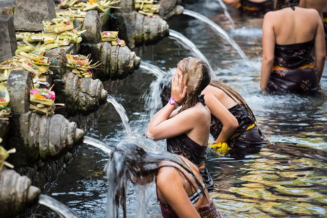 Private Full-Day Tour: Balinese Temples and Rice Terraces - Who Should Book This Tour?