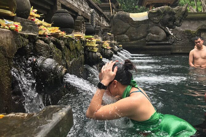 Private Full Day Tour to Ubud Highlights with Giant Swing - Who Is This Tour Perfect For?