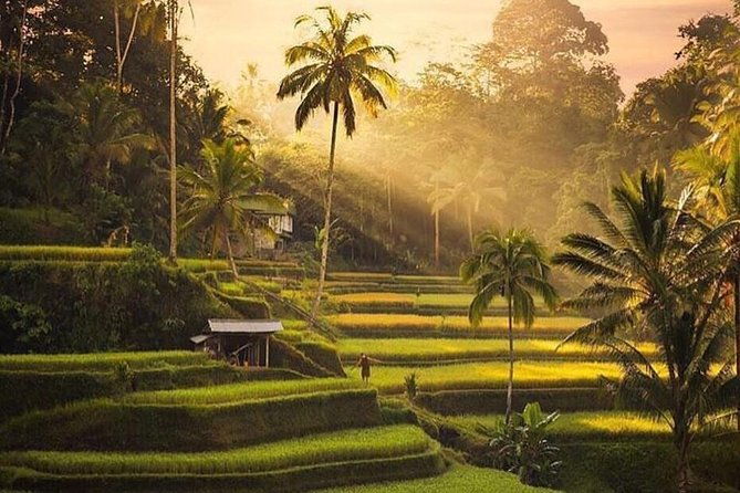 Private Full Day Tour with Ubud and Kintamani Highlights - FAQs