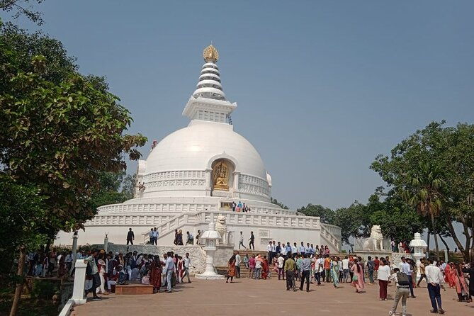 Private guided tour of Bodh Gaya over 2 days - Why This Tour Offers Great Value
