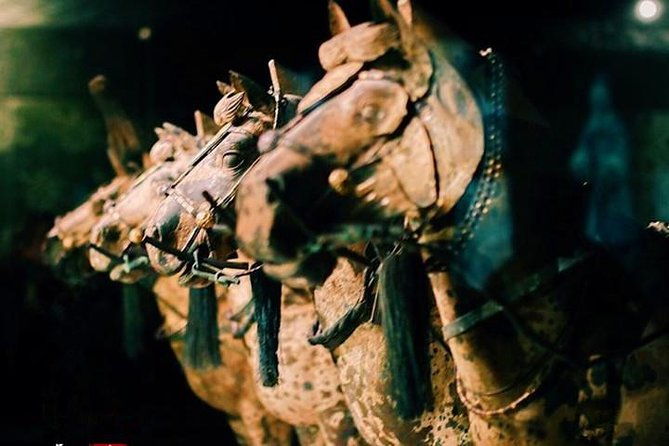Private Half-Day Tour of Xi'an Terracotta Warriors - Who Would Love This Tour?  