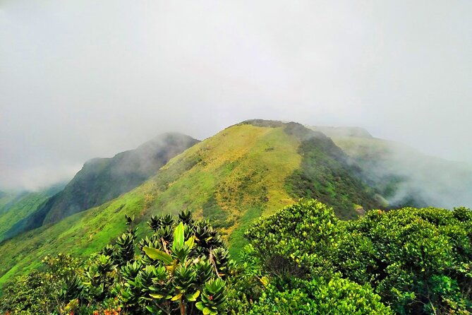 Private Multi-Day Sri Lanka Treks and Hikes Tour - FAQ