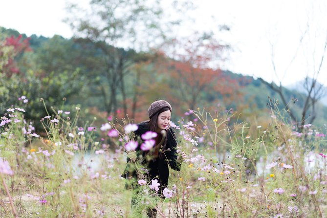 Private Nami Island Photo Shoot and Tour with a Photographer - Who Would Enjoy This Tour?