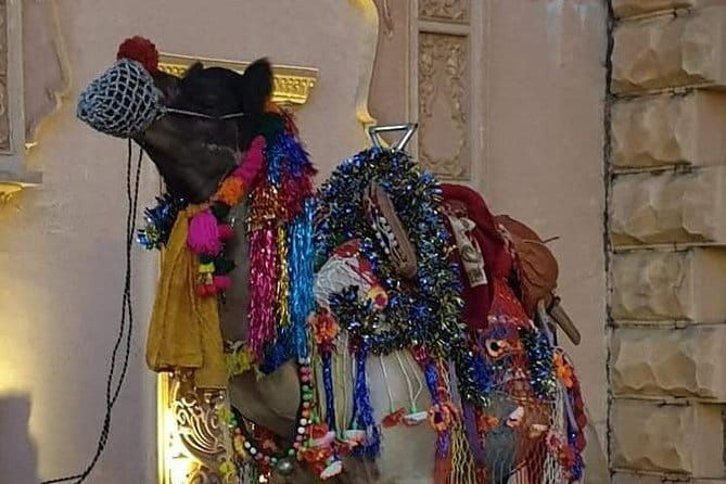 Private Same Day Jaipur Tour with Guide from Delhi - Who Is This Tour Best For?