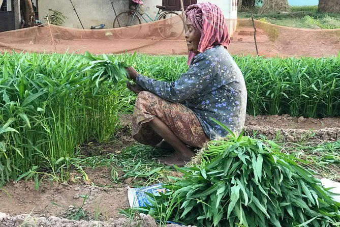 Private Siem Reap Countryside Tour by Jeep with Local Food Experience - Practical Details & Considerations