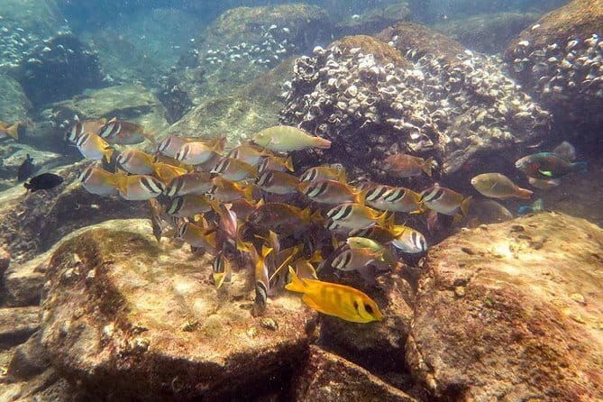 Private Snorkeling trip at Koh Kood - Practical Details for Travelers