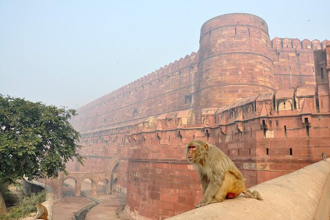 Private Taj Mahal & Agra Tour by Express Train From - Delhi - The Sum Up