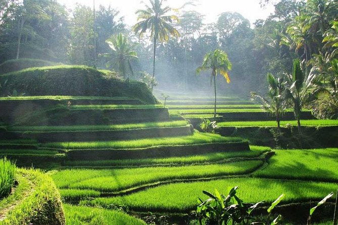 Private Tour: Batuan Temple, Tegenungan Waterfall, Elepahant Cave Free transport - Frequently Asked Questions