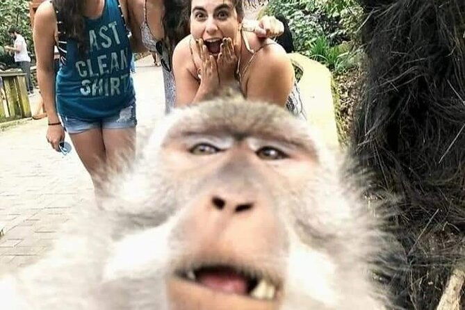 Private tour, discover the beauty of bali - Who Would Love This Tour?