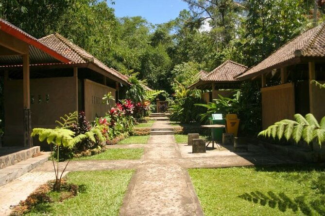 Private Tour from Leke-Leke Waterfall to Jatiluwih Rice Terrace - The Sum Up
