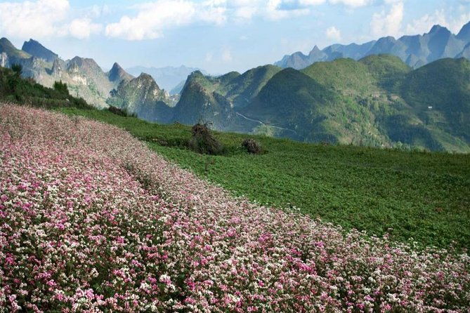 Private Tour: Ha Giang 3 days 4 nights - Final Thoughts