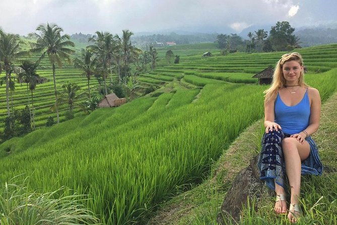 Private Tour Highlight of Bedugul and Jatiluwih Rice Terrace - Who Should Consider This Tour?