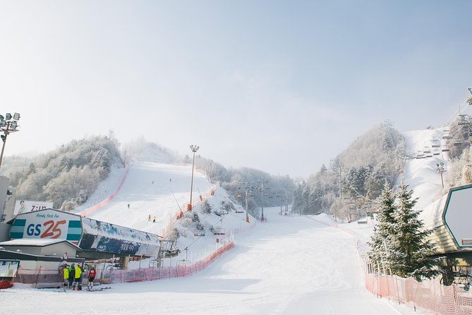 [Private Tour] Nami Island & Snow Viewing and Snow sled (More Members Less Cost) - Who is This Tour Best For?