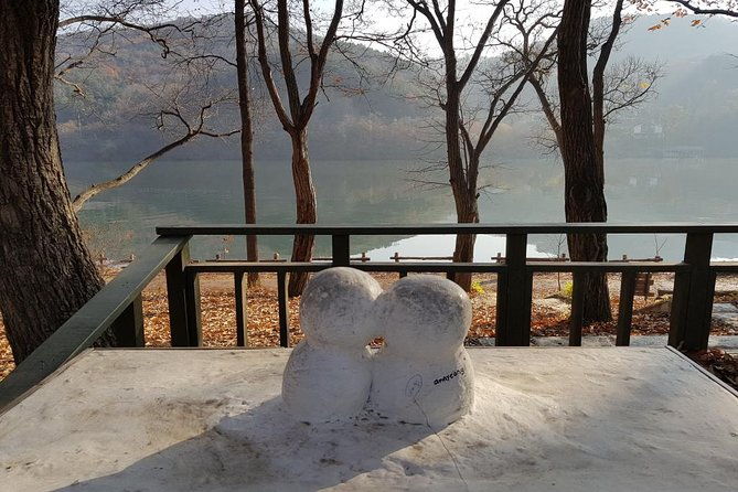 Private Tour Nami Island with Petite France 'and/or' The Garden of Morning Calm - The Sum Up
