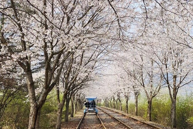 Private Tour to Alpaca world &Nami Island& Railbike with Tickets - Who Will Love This Tour?