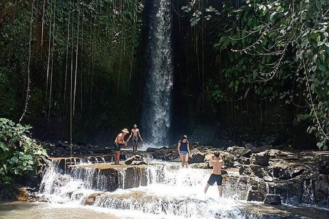 Private Tour to Sumampan Waterfall, Monkey forest, Rice terraces and Swing - The Sum Up