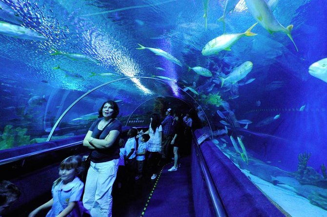 Private Tour to The Best of Animal Attractions in Kuala Lumpur - FAQ