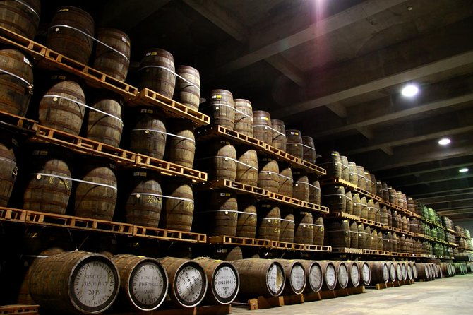Private Tour to Yilan Kavalan Whisky Distillery - Wushih Harbor and Coastal Views