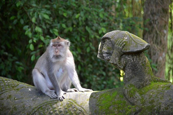 Private Tour: Ubud Day Tour with Traditional Offering Lesson - FAQ