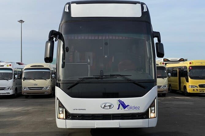 Private Transfer From or to Punta Cana Airport to hotels in Bávaro - Reliability and Customer Service