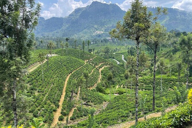 Private Transfer - Kandy to ella drop off and pick up - Why This Transfer Is Worth It