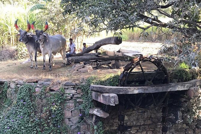 Private Udaipur Village Tour by Tuk-Tuk or by Car - Final Thoughts