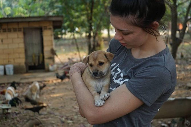 Rescue P.A.W.S. Day Visit - FAQ: Your Questions Answered
