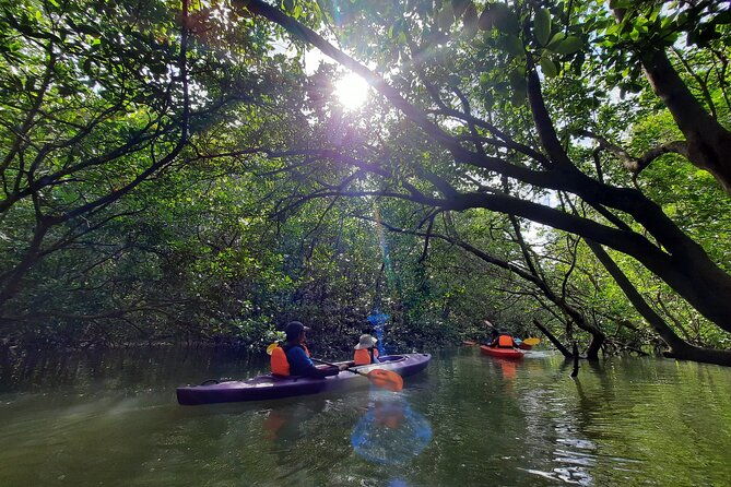 River Exploration and Mangrove Nature Tour by kayaking - FAQ