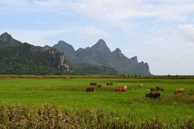Sam Roi Yod National Park & Praya Nakhon Cave Private Tour from Hua Hin - Final Thoughts