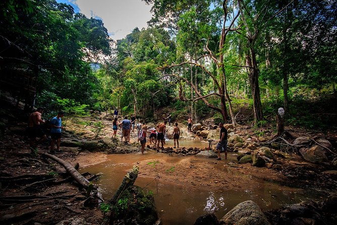 Samui ATV Quad Bike 1 Hour Tour - The Sum Up: Who Will Love This ATV Tour?