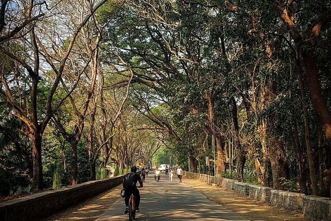 Sanjay Gandhi National Park and Kanheri Caves Day Private Tour - FAQ