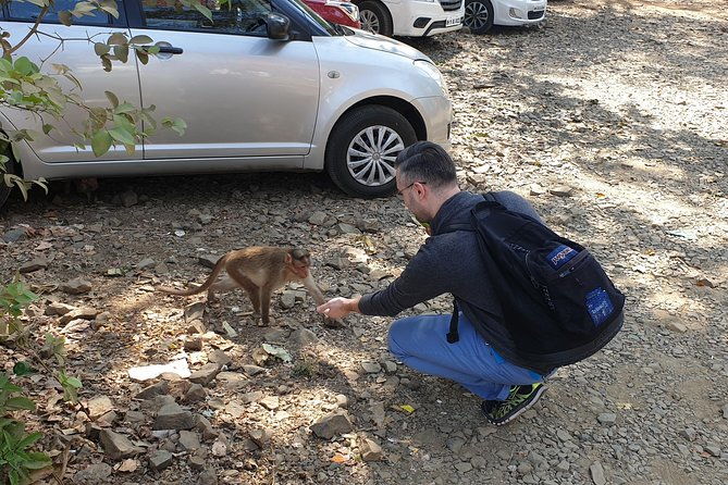 Sanjay Gandhi National Park(SGNP) + Kenheri Caves + Lion Safari + Jain Temple - FAQs