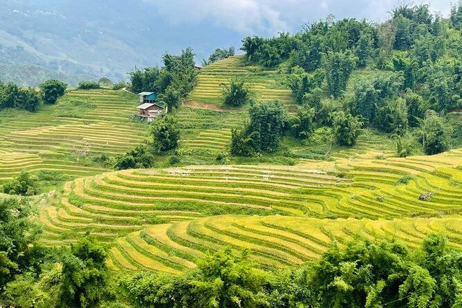 Sapa Motorbike Tour With Local Guide 1 Day - Waterfalls, Villages - Practical Tips