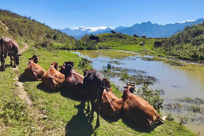 Sapa The Hidden Trail Trek 1 Day - Mountain & Rice Valley - Final Thoughts