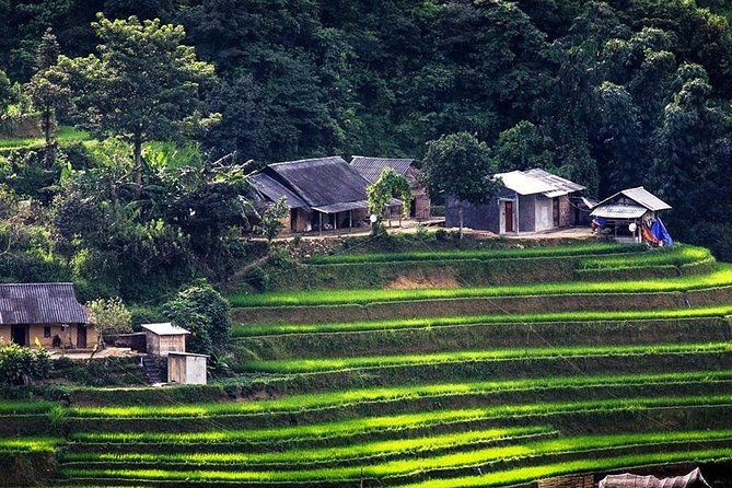 Sapa Tours 2D1N stay At 4 stars hotel nice Sleeping Bus TRANSFER - Who Will Love This Tour