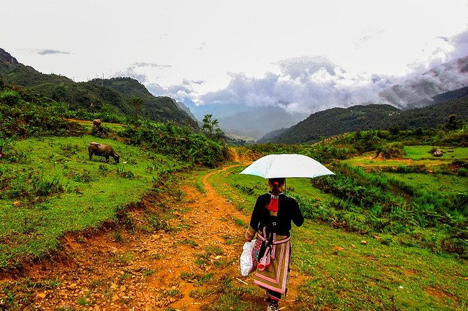 Sapa Valley Trek and Homestay - 3D2N - The Sum Up: Why This Tour Is a Great Choice