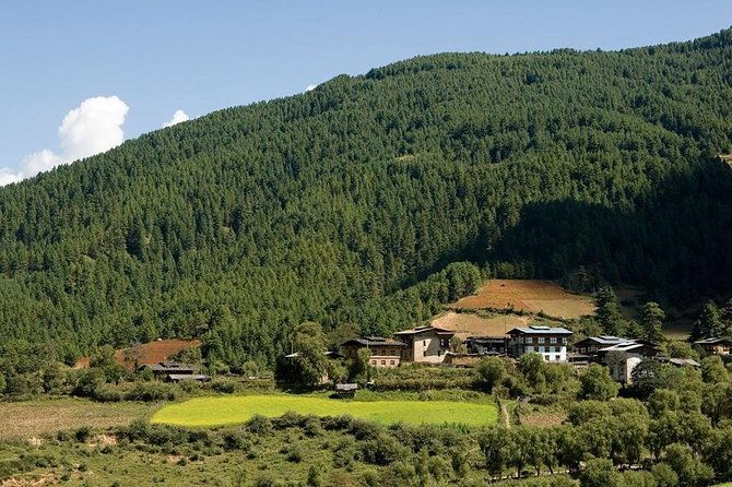 Scenic Bhutan Guided Multi-Day Tour with Airport Pickup - Final Thoughts