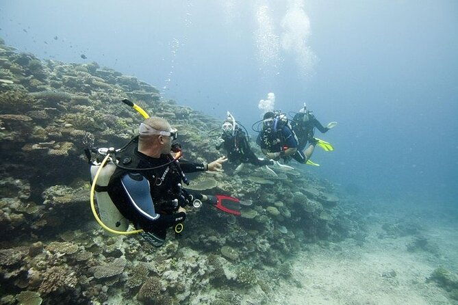 Scuba Diving For Beginners - Who Should Consider This Tour?